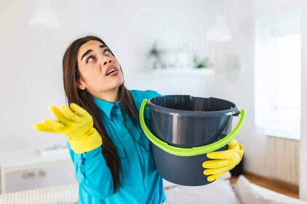 Shocked Woman Looks at the Ceiling While Collecting Water Which Leaks in the Living Room at Home. Worried Woman Holding Bucket While Water Droplets Leak From Ceiling in Living Room