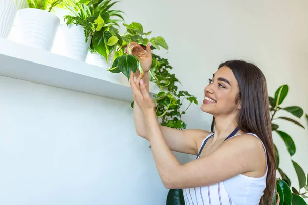 Closeup Housewife Holding Green Plant Looking Camera Pleased Smile Holding — Stok fotoğraf