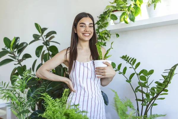 Closeup Housewife Holding Green Plant Looking Camera Pleased Smile Holding — Φωτογραφία Αρχείου