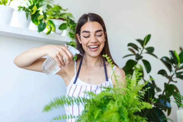 Young woman misting a houseplant with a spray bottle. Joyful young woman enjoys her time at home and watering her plant by the window at home.