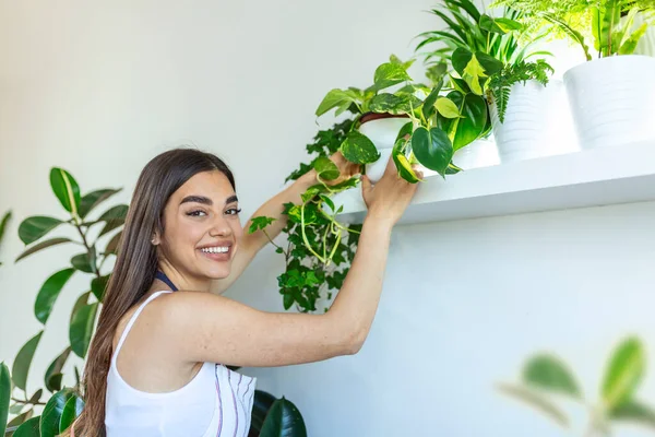 Closeup Housewife Holding Green Plant Looking Camera Pleased Smile Holding — Φωτογραφία Αρχείου