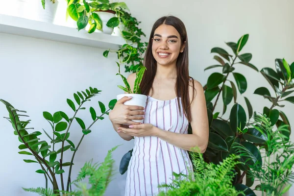 Closeup Housewife Holding Green Plant Looking Camera Pleased Smile Holding — Foto Stock