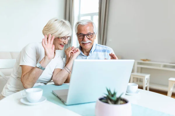 Happy old family couple talking with friends and family using laptop , surprised excited senior woman looking at computer waving and smiling.