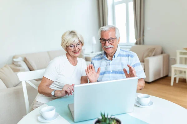 Happy old family couple talking with friends and family using laptop , surprised excited senior woman looking at computer waving and smiling.