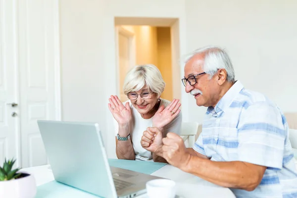 Happy old family couple talking with friends and family using laptop , surprised excited senior woman looking at computer waving and smiling.