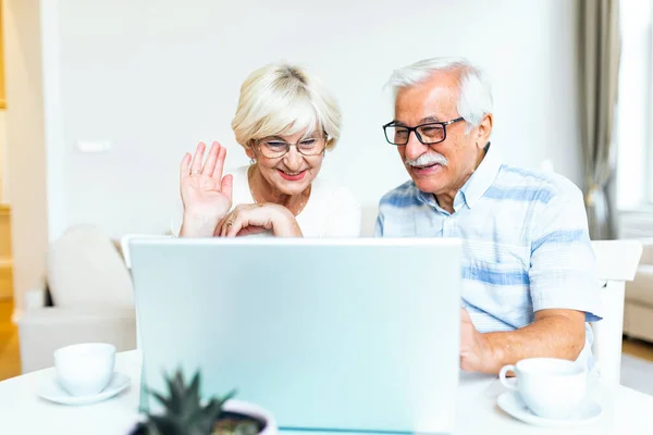 Happy old family couple talking with friends and family using laptop , surprised excited senior woman looking at computer waving and smiling.