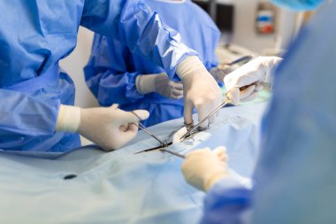 Konsantre olmuş profesyonel cerrahi doktor ekibi hastanedeki ameliyathanede bir hastayı ameliyat ediyor. Sağlık ve Tıp Konsepti.