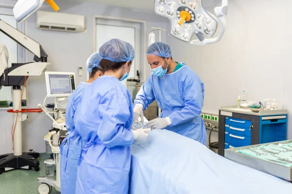 Grupo Cirurgiões Que Fazem Cirurgia Centro Cirúrgico Hospital Equipa Médica — Fotografia de Stock