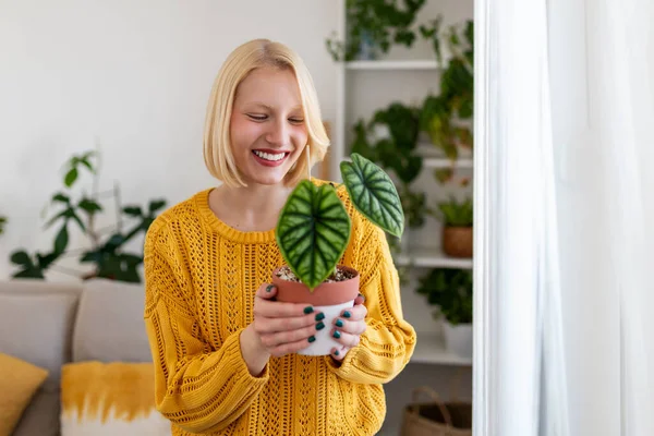Closeup Beautiful Woman Holding Green Plant Looking Pleased Smile Holding — Stock Photo, Image