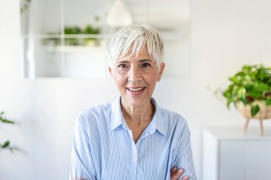 Kıdemli kadın kameraya bakıyor. Başarılı bir iş kadını. Gri saçlarıyla ofiste duran mutlu yaşlı profesör.