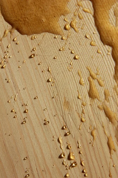 Honung flyter genom trä — Stockfoto