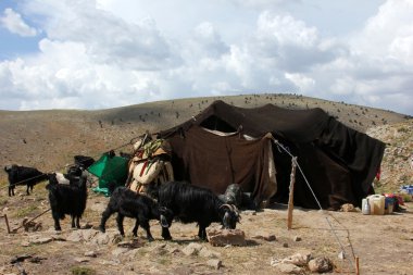 Yörük Çadırı