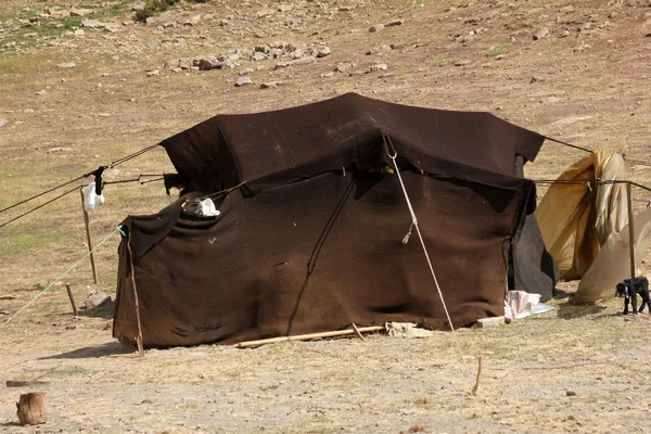 Палатка кочевников — стоковое фото