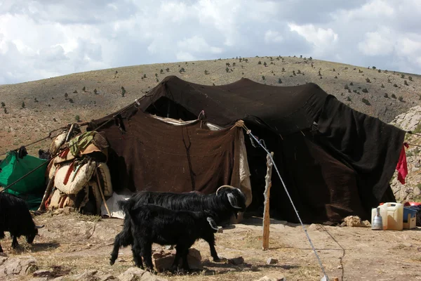 游牧人的帐篷 — 图库照片