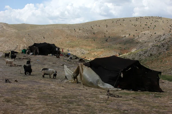 Nómada tenda — Fotografia de Stock