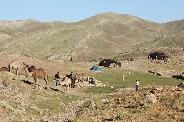 Tenda nomade — Foto Stock