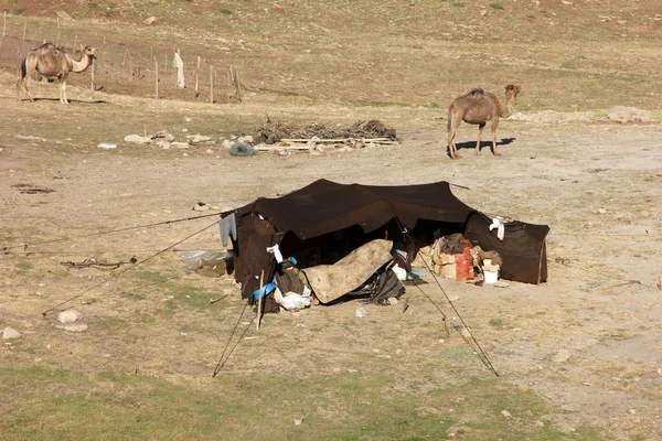 Палатка кочевников — стоковое фото