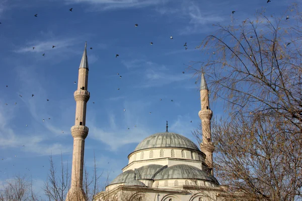 Cami — Stok fotoğraf