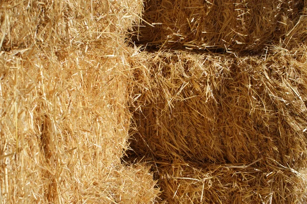 Тюки из сена — стоковое фото