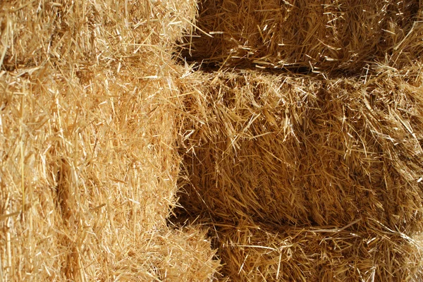 Hay bales — Stock Photo, Image