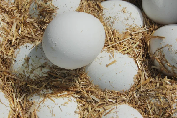 Huevos frescos de granja en heno - de cerca — Foto de Stock