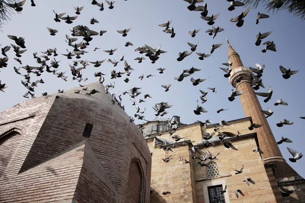Mezquita de jalá, Konya — Foto de Stock