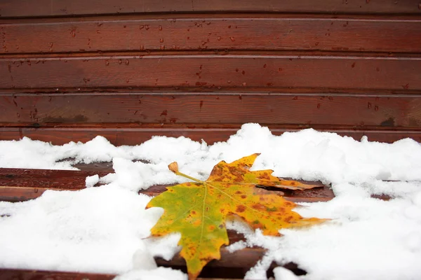 Yellow leaves — Stock Photo, Image