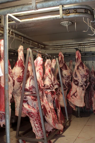 肉屋の店 — ストック写真