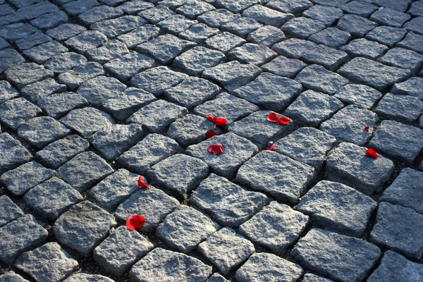 Piedras de pavimentación textura — Foto de Stock