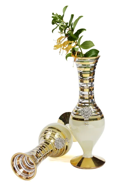 Vase und Pflanze — Stockfoto