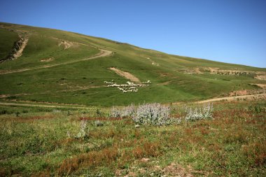 Doğa