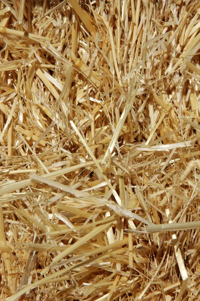 Straw — Stock Photo, Image