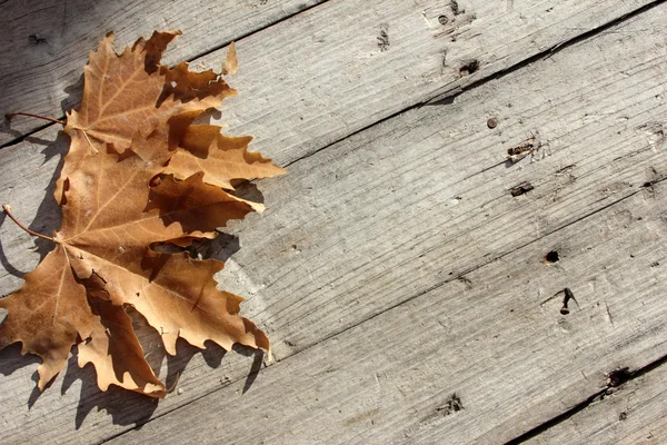 Wooden and Leaf — Stock Photo, Image