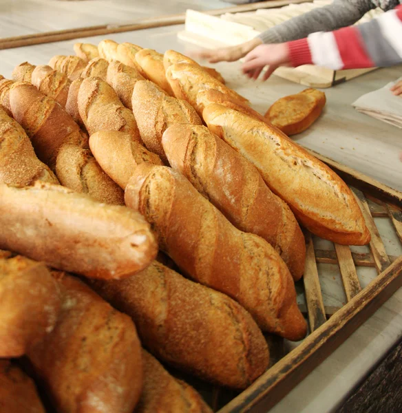 Brot — Stockfoto