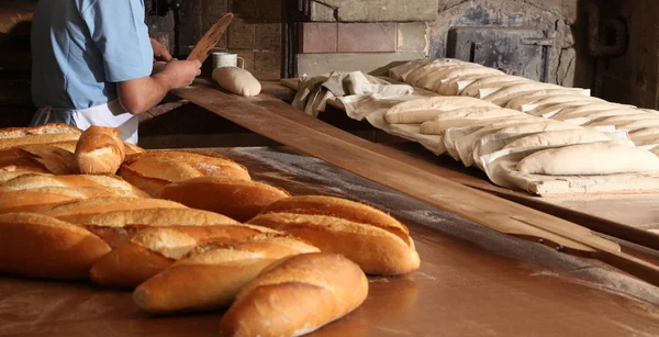 Brot — Stockfoto