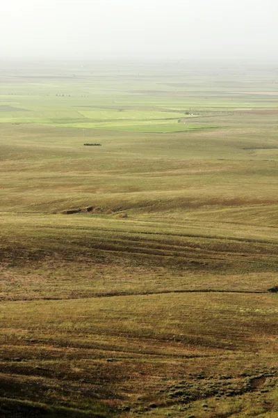 Nature — Stock Photo, Image