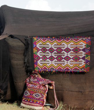 renkli kilim