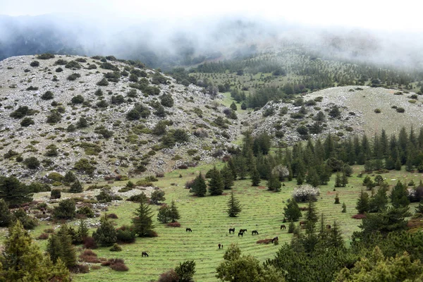 Lovak, amasya, Törökország — Stock Fotó