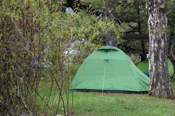 Tienda de campaña en la zona de camping — Foto de Stock