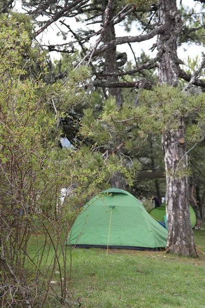 Tente dans la zone de camping — Photo