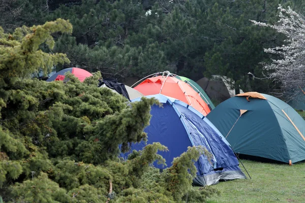 Camping — Stockfoto