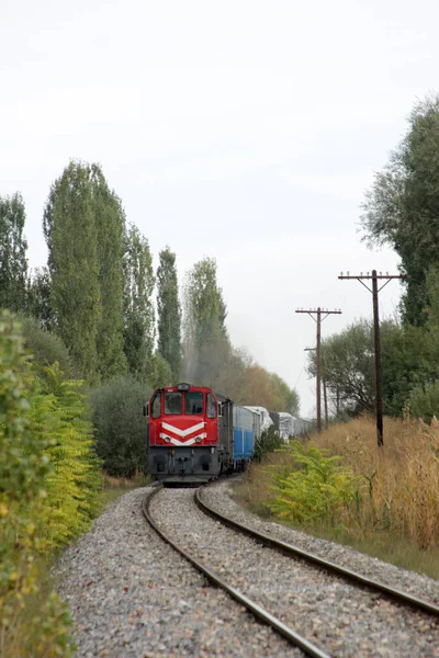 Trem Vapor Preto Ferrovia — Fotografia de Stock