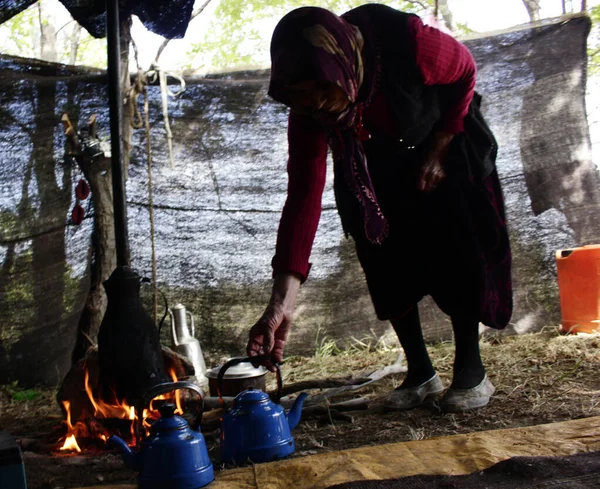 Mujer Nómada Prepara Mujer Nómada Dentro Tienda Ganan Vida Cultivando —  Fotos de Stock