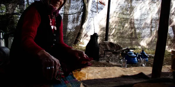 Mujer Nómada Prepara Mujer Nómada Dentro Tienda Ganan Vida Cultivando —  Fotos de Stock