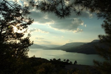 Çam ağaçlarının arasından göl manzarası
