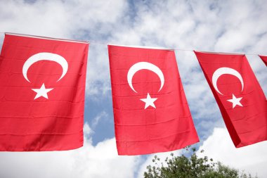 Festival alanında Türk bayrakları