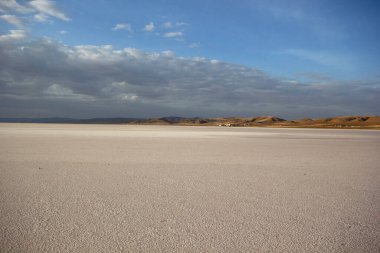 Tuz Golu hindisi. Salt Lake 'de. Beyaz tuzlu su.