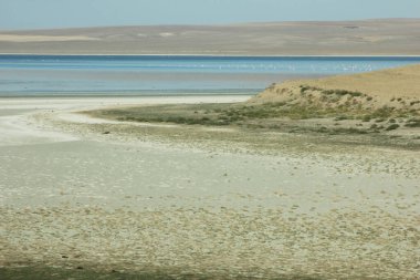 Salt Lake Ankara, Konya ve Aksaray arasında yer almaktadır. Türkiye 'nin en büyük turna (flamingo) habitatlarından biridir..