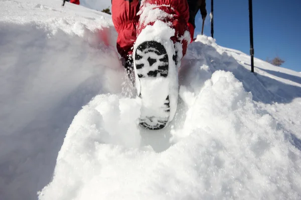 Walking Snow Mountaineering — 图库照片