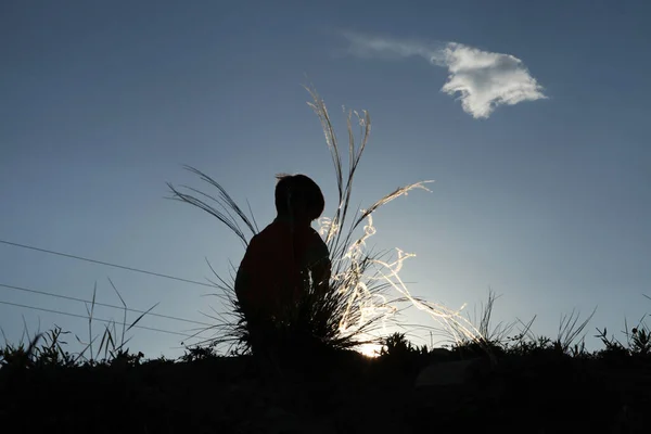 Cute Boy Playing Alone Nature — Stock Photo, Image